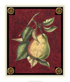 Poire D'Arenburg Poster by Pierre D'Avoine