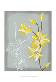 Floral Echo II Posters by Vanna Lam