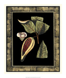 Tropical Bounty I Print