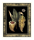 Tropical Bounty IV Prints