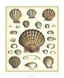 Of Sea and Shore III Posters by Kobelt 