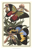 Papillon III Posters