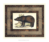 Rustic Bear Art