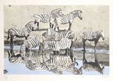 Zebras 2 Limited Edition by Fran Bull