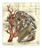 Neptune's Composition II Poster