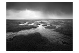 Scale Moor Prints by Martin Henson
