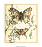 Tandem Butterflies I Affiches par Jennifer Goldberger