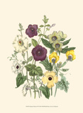 Summer Flowers IV Affiches