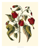 Jenna's Flowers I Prints by Sellier 