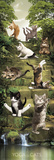 Yoga Cats-Steps Prints