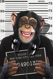 Chimp-Mugshot Posters