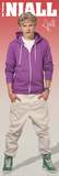 One Direction-Niall Posters