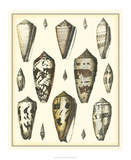 Of Sea and Shore VI Prints by Kobelt 