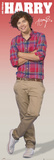One Direction-Harry Posters