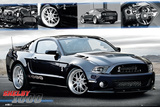 Ford Shelby-1000 Kunstdrucke