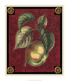 Pomme De Canada Art by Pierre D'Avoine