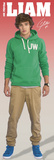 One Direction-Liam Affiches