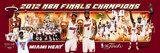 2012 Miami Heat Champs Photo