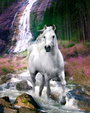 Bob Langrish-Waterfall Photo