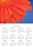 Gerbera daisy Prints by Frank Krahmer