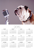 Bulldog Preparing to Sing into Microphone Prints by Larry Williams