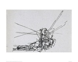 Flying Machine 2 Giclée-Druck von Leonardo Da Vinci