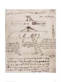Flying Machine Drawing Giclee Print by Leonardo Da Vinci