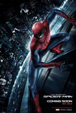 Amazing Spiderman-Wallcrawler Láminas Amazing Spiderman-Wallcrawler Láminas