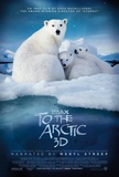 To The Arctic 3-D Print