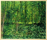 Woods and Undergrowth, c.1887 Framed Canvas Print by Vincent van Gogh