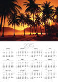Palm Trees at Beach Photo by Jack Hollingsworth