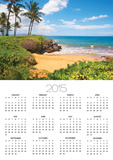 Secluded Po'olenalena Beach on Maui Print by Ron Dahlquist