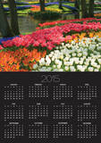 Spring Tulips by Stream Prints by Mark Bolton