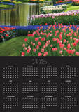 Spring Tulips by Stream Prints by Mark Bolton