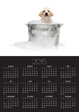 Puppy Taking Bath Posters by Lew Robertson