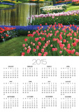 Spring Tulips by Stream Posters by Mark Bolton