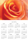 Peach Rose Poster by David Papazian