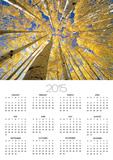 Quaking Aspen Grove in Fall, Colorado Posters by John Eastcott & Yva Momatiuk