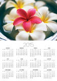 Frangipani Flowers in Bowl of Water Posters by Thomas M. Barwick