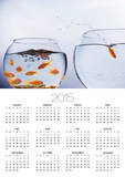 Goldfish Jumping into Different Bowl Prints by Paul Hardy