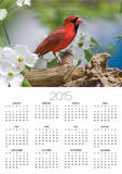 Close-up of Cardinal in Blooming Tree Posters by Gary Carter