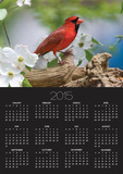Close-up of Cardinal in Blooming Tree Prints by Gary Carter