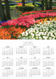 Spring Tulips by Stream Posters by Mark Bolton