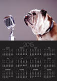 Bulldog Preparing to Sing into Microphone Print by Larry Williams