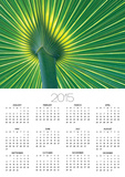 Palm Frond Posters by Gary W. Carter