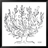Le Platane, c.1951 Poster por Henri Matisse Le Platane, c.1951 Poster por Henri Matisse