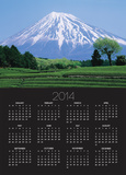 Green Tea Field and Mount Fuji Photo