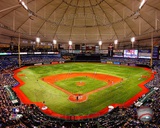 Tropicana Field 2012 Photographie