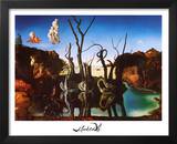 Salvador Dali Swans Reflecting Elephants White Border Art Print Poster Posters