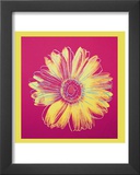 Daisy, c.1982 (Fuschia and Yellow) Print by Andy Warhol